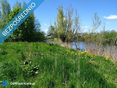 Działka budowlana nad rzeką Tuga w Nowym Dworze Gdańskim -    -
pomorskie Zdjęcie nr 5