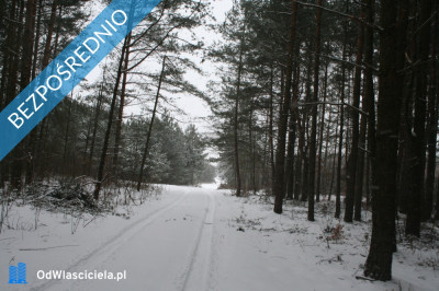 Posiadłość z domem w stanie surowym -    -
śląskie Zdjęcie nr 5