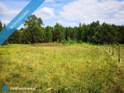 Działka budowlana 45 min od Warszawy 1000m2 autostrpociąg -    -
mazowieckie Zdjęcie nr 5