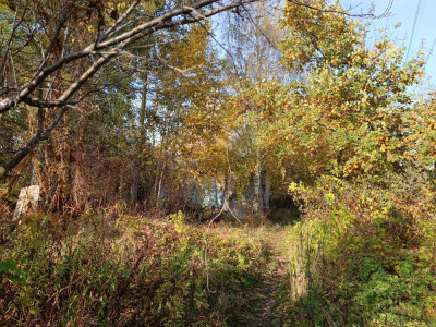 Działka usługowo-mieszkaniowa KlaudyngmStare Babice -    -
mazowieckie Zdjęcie nr 10