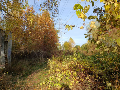 Działka usługowo-mieszkaniowa KlaudyngmStare Babice -    -
mazowieckie Zdjęcie nr 8