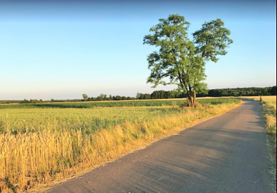 Sprzedam działkę siedliskową w Boguszkowie pow kozienicki -    -
mazowieckie Zdjęcie nr 10