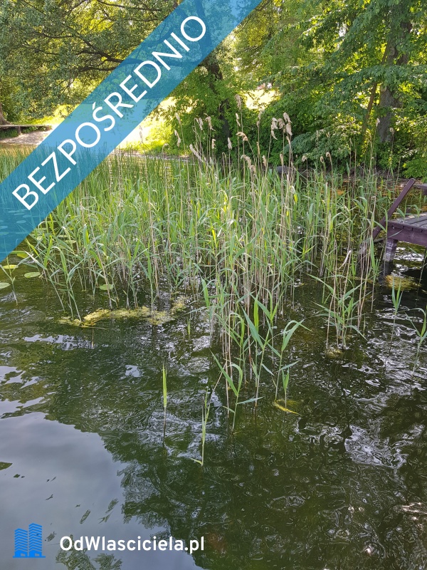 Sprzedan dzialke nad jeziorem Pierwoj -    -
warmińsko-mazurskie Zdjęcie nr 1