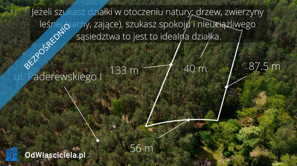 Działka leśna ujęta w MPZP pod zabudowę -    -
mazowieckie Zdjęcie nr 1