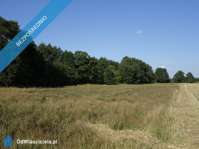 Skoczów Ochaby 57ar dzialka rolna pod lasem pod rekreacje  -    -
śląskie Zdjęcie nr 6