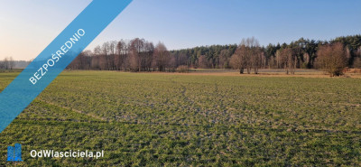 Sprzedam działkę budowlaną Stara Wieś gm Rząśnik powiat wyszkowski mazowieckie - Rząśnik  -
mazowieckie Zdjęcie nr 11