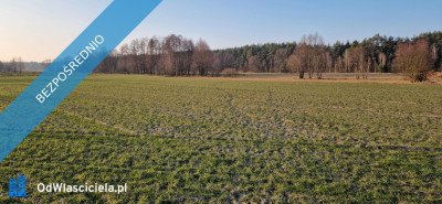 Sprzedam działkę budowlaną Stara Wieś gm Rząśnik powiat wyszkowski mazowieckie - Rząśnik  -
mazowieckie Zdjęcie nr 2