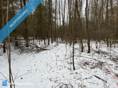 Działka budowlana w miejscowości Wola Pieczyska 1335m2 tylko 1h od Warszawy w spokojnym miejscu -    -
mazowieckie Zdjęcie nr 8