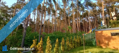 Wiktorowo - działka budowlana - Wiktorowo  -
kujawsko-pomorskie Zdjęcie nr 2