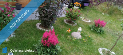 Wiktorowo - działka budowlana - Wiktorowo  -
kujawsko-pomorskie Zdjęcie nr 4