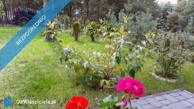 Wiktorowo - działka budowlana - Wiktorowo  -
kujawsko-pomorskie Zdjęcie nr 5