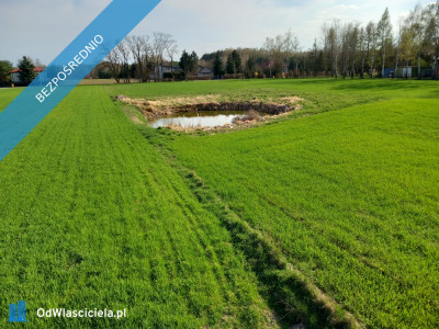 Działka budowlana ze stawem - Górna   -
łódzkie Zdjęcie nr 10