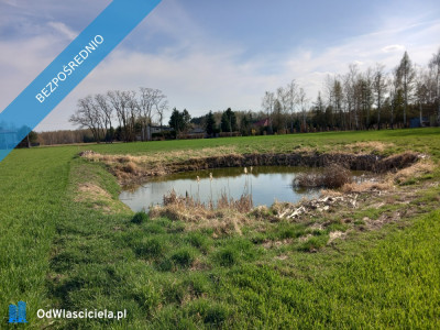 Działka budowlana ze stawem - Górna   -
łódzkie Zdjęcie nr 11