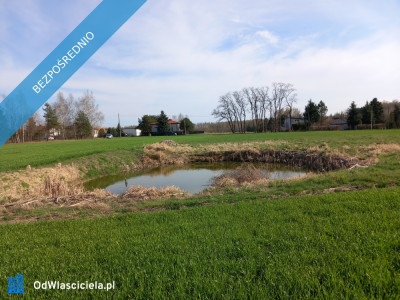 Działka budowlana ze stawem - Górna   -
łódzkie Zdjęcie nr 12