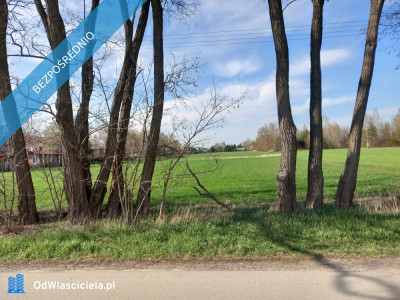 Działka budowlana ze stawem - Górna   -
łódzkie Zdjęcie nr 3