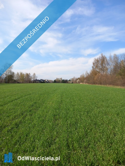 Działka budowlana ze stawem - Górna   -
łódzkie Zdjęcie nr 6