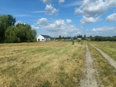 Na sprzedaż działka budowlana - Skórzewo -
wielkopolskie Zdjęcie nr 3