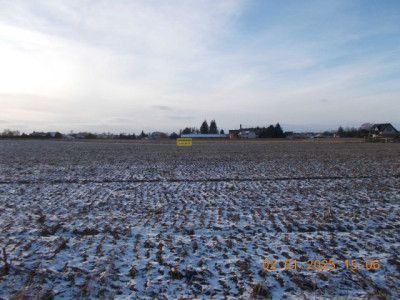 Na sprzedaż działka budowlana - Golęczewo - wielkopolskie