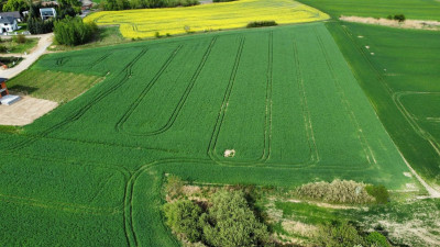 Na sprzedaż działka budowlana - Poznań - wielkopolskie