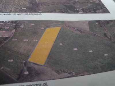 Na sprzedaż działka budowlana - Poznań -
wielkopolskie Zdjęcie nr 8