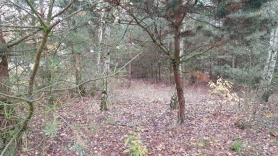 Na sprzedaż działka rolna - Sapowice - wielkopolskie