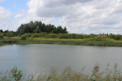 Na sprzedaż działka rolna - Sierosław -
wielkopolskie Zdjęcie nr 11