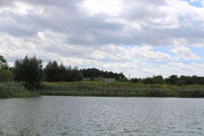 Na sprzedaż działka rolna - Sierosław -
wielkopolskie Zdjęcie nr 14