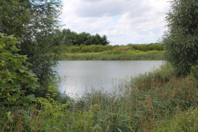 Na sprzedaż działka rolna - Sierosław -
wielkopolskie Zdjęcie nr 2