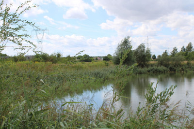 Na sprzedaż działka rolna - Sierosław -
wielkopolskie Zdjęcie nr 8