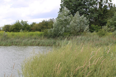 Na sprzedaż działka rolna - Sierosław -
wielkopolskie Zdjęcie nr 9