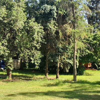 Na sprzedaż działka budowlana - Sierosław -
wielkopolskie Zdjęcie nr 9