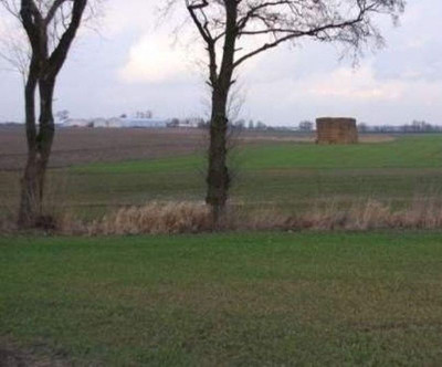 Na sprzedaż działka inwestycyjna - Żerniki -
wielkopolskie Zdjęcie nr 10