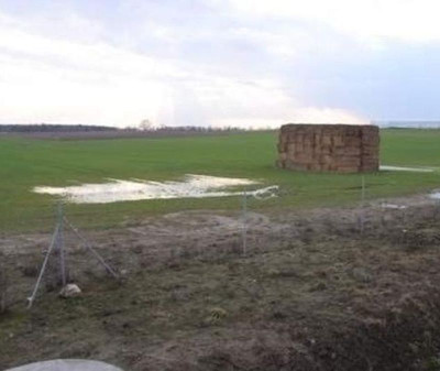 Na sprzedaż działka inwestycyjna - Żerniki -
wielkopolskie Zdjęcie nr 4