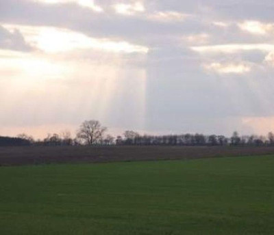 Na sprzedaż działka inwestycyjna - Żerniki -
wielkopolskie Zdjęcie nr 8