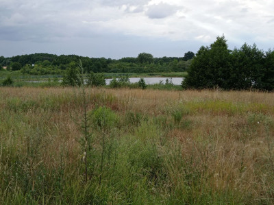 Na sprzedaż działka budowlana - Poznań -
wielkopolskie Zdjęcie nr 2