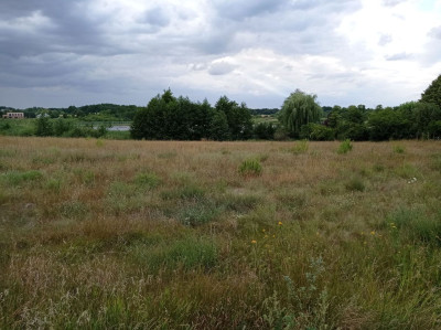 Na sprzedaż działka budowlana - Poznań -
wielkopolskie Zdjęcie nr 7