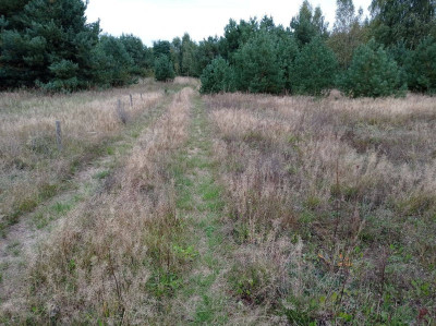 Na sprzedaż działka budowlana - Koźle -
wielkopolskie