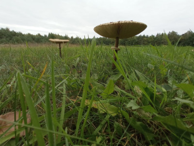 Na sprzedaż działka budowlana - Koźle -
wielkopolskie Zdjęcie nr 5