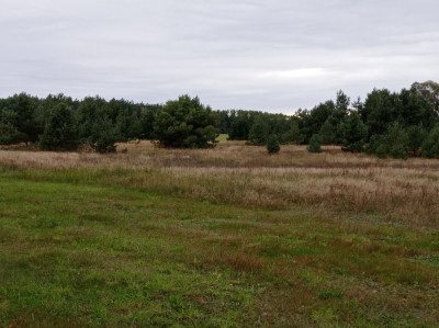 Na sprzedaż działka budowlana - Koźle -
wielkopolskie Zdjęcie nr 6