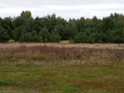 Na sprzedaż działka budowlana - Koźle -
wielkopolskie Zdjęcie nr 7