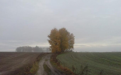 Na sprzedaż działka rolna - Grzmiąca -
zachodniopomorskie