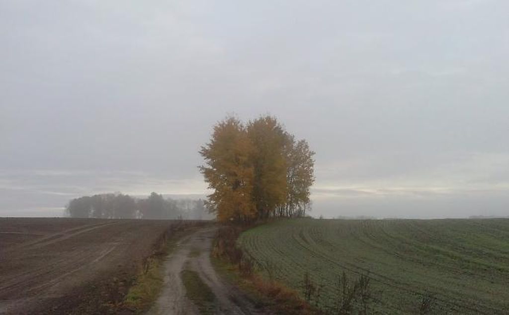 Na sprzedaż działka rolna - Grzmiąca -
zachodniopomorskie Zdjęcie nr 1