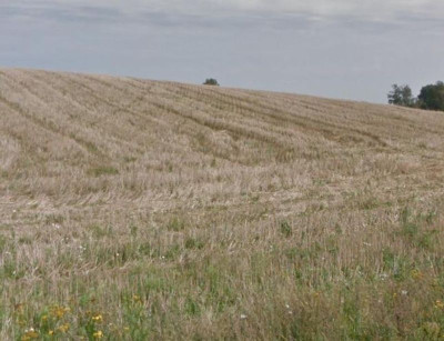 Na sprzedaż działka rolna - Szczecinek -
zachodniopomorskie Zdjęcie nr 5