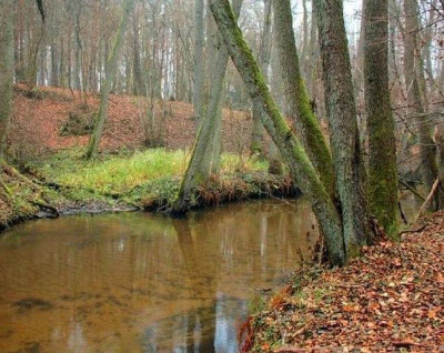 Na sprzedaż działka rolna - Tychowo -
zachodniopomorskie Zdjęcie nr 2