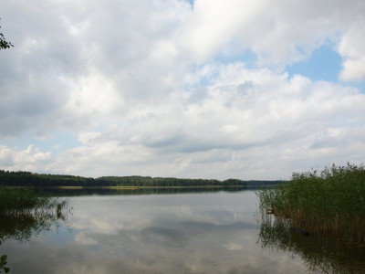 Na sprzedaż działka budowlana - Pszczew -
lubuskie Zdjęcie nr 8