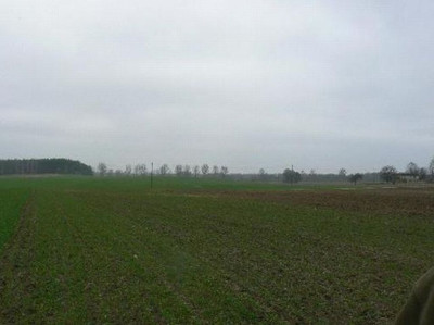 Na sprzedaż działka rolna - Ługowina -
zachodniopomorskie Zdjęcie nr 6