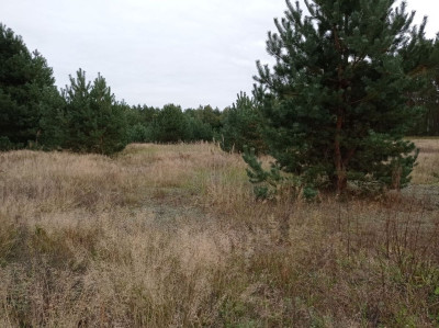 Na sprzedaż działka budowlana - Koźle - wielkopolskie