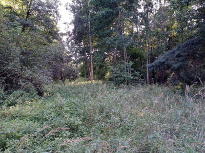 Na sprzedaż działka rolna - Kicin -
wielkopolskie Zdjęcie nr 3