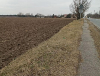 Na sprzedaż działka budowlana - Poznań - wielkopolskie