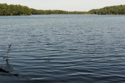 Na sprzedaż działka rekreacyjna - Lubowo -
wielkopolskie Zdjęcie nr 15